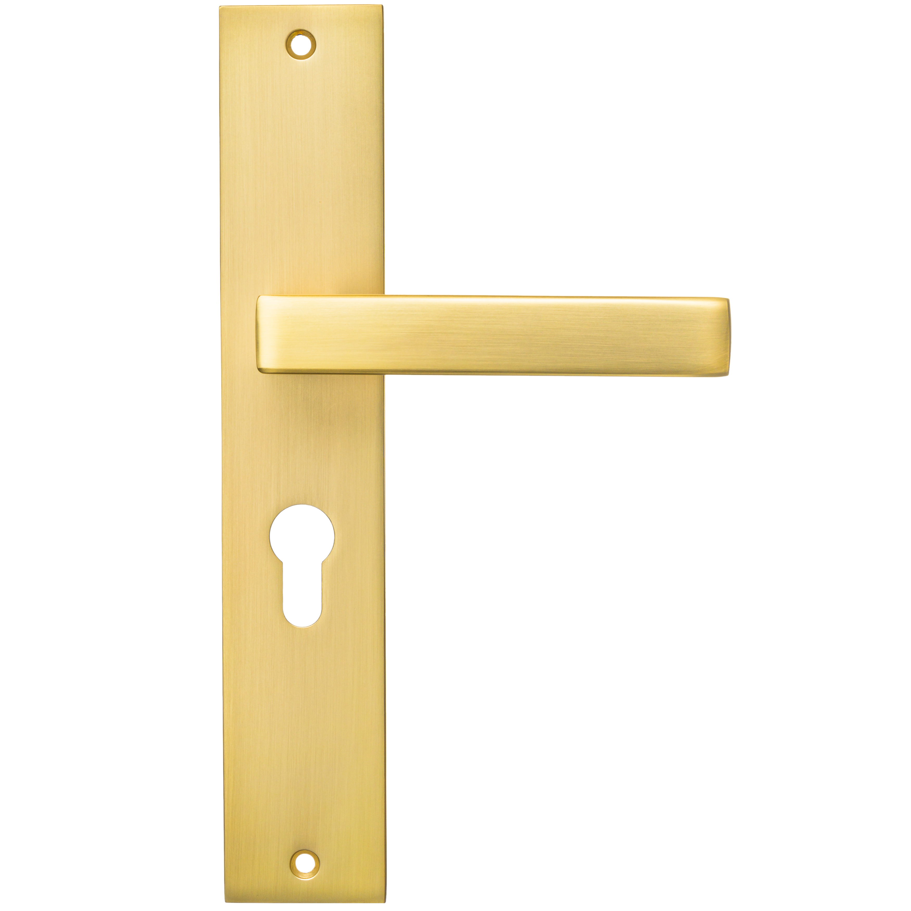 Ostiumhome®   Alassio Deurklink opschild met cilindergat - Deurbeslag - 55 mm - Mat goud"